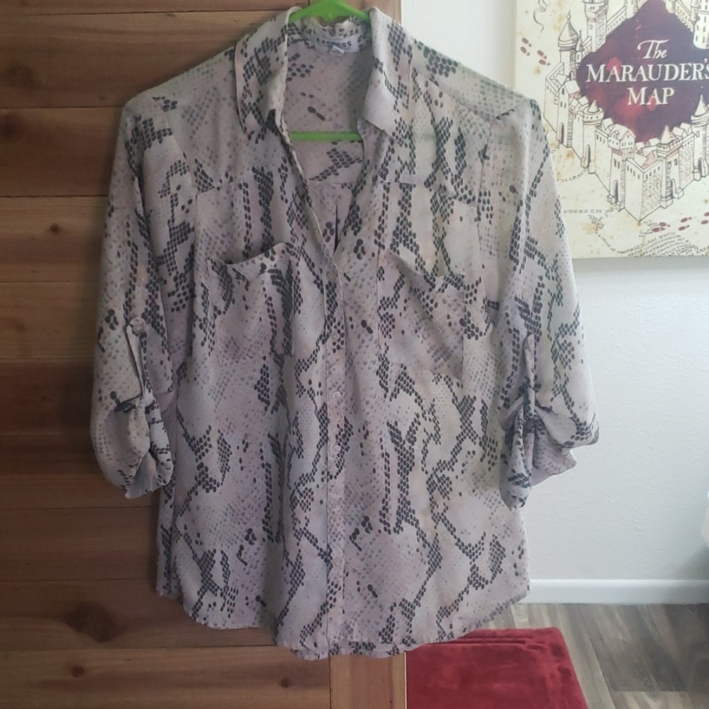 Express Dress Shirt